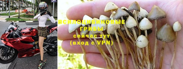 соль ск Магадан